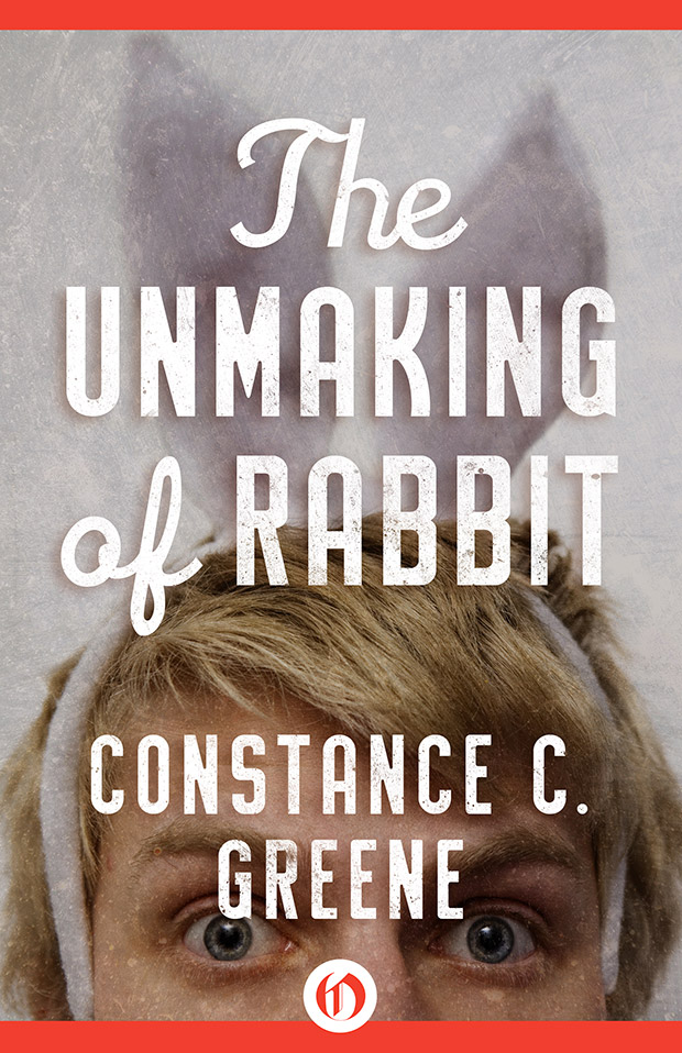 The Unmaking of Rabbit